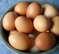 Brown Eggs