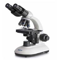 Compound Microscope