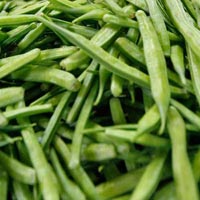 Fresh Guar Gum Beans