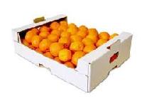 Fruit Packaging Boxes