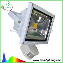 LED Flood Light