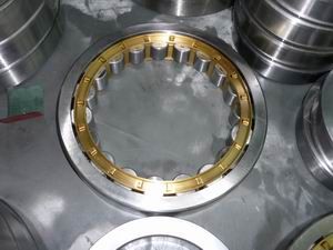 Cylindrical Roller Bearing