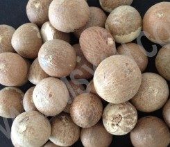 Whole Dried Betel Nuts