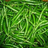 fresh green chilli