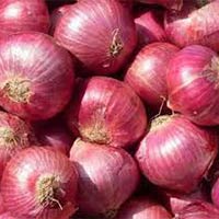 fresh red onion