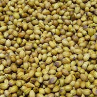 Coriander Seed (Parrot Quality)