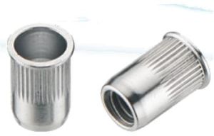 Small Head Rivet Nuts
