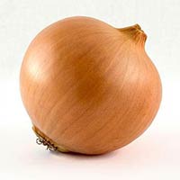 Fresh Brown Onion