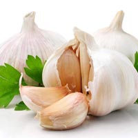 fresh garlic