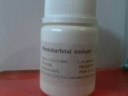 Nembutal Sodium Powder