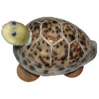 Feng Shui Vasthu Kurma Sea Shells Tortoise - A1033