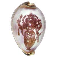 Ganesha Art on Cowrie Kawdi Kaudi Kowdi Sea Shell - A0383