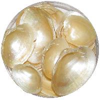 Gilver Colour Natural Sea Shells 100 Grams - A1098