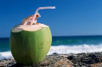 Coconut Water