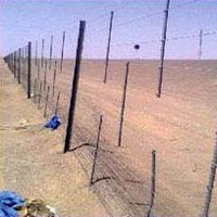 Sand Fencing