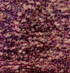 Cats Eye Granite Slabs