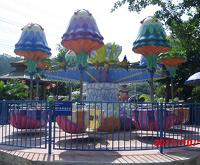 Happy Jellyfish Happy Jellyfish