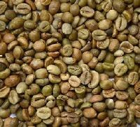 Robusta Coffee