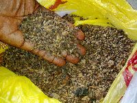 Voacanga Africana Seeds, Packaging Type : Brown