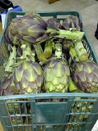 Fresh Artichokes