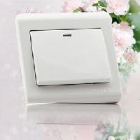 Two Way Switch With Panel