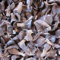 Crude Palm Oil, Palm Kernel