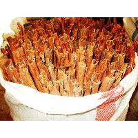 Cassia Vera Cinnamon