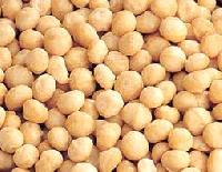 macadamia nuts
