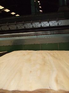 Plywood Veneer