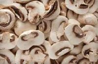 Fresh and dry mushrooms