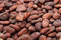 cocoa beans
