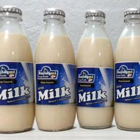 Soya Plain Milk