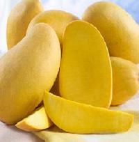 Wild Mango Seed Extract