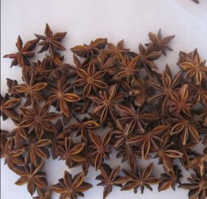 star anise star anise