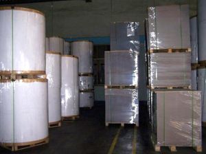 Offset Printing Paper