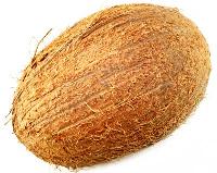 dry coconut