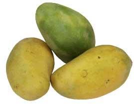 Mangoes