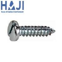 SS Pan Slotted Self Tapping Screw.