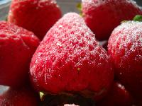 frozen strawberries