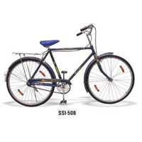 Roadster Raleigh Type Bicycle (Standard)