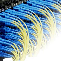 Telecom Patch Cords