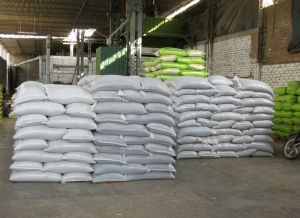 Seeds & Plant Saplings