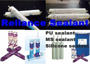 PU Sealant