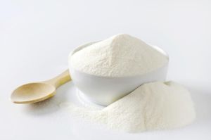 skimmed milk powder,  Type : Dairy Product