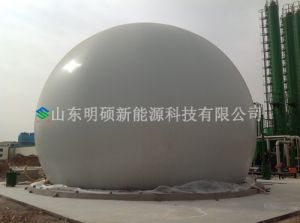 Biogas Double Membrane Storage Tank