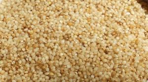 Dry Barnyard Millet