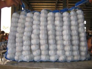 Garlic,  Number Of Flower : Vegetable