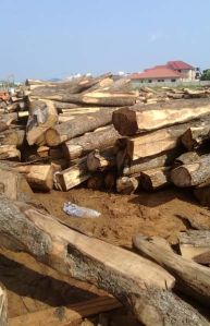 Timber From Ghana