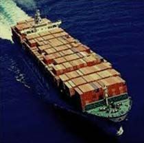 Import Export Consultant