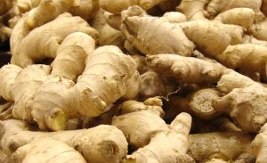 fresh ginger,  Quality Available :A Grade